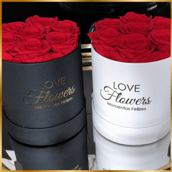 7 Rosas Naturais Preservadas Vermelhas Circle Rose Collection