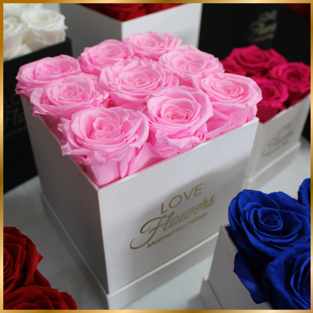 9 Rosas Naturais Preservadas Rosa Square Rose Collection